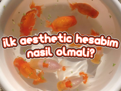 İlk Aesthetic Hesabım Nasıl Olmalı?