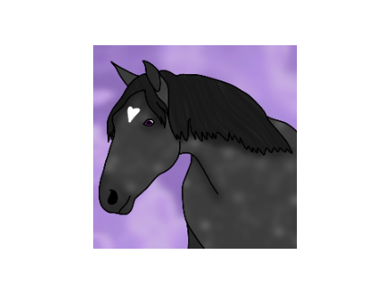 PFP + Extra for Nova
