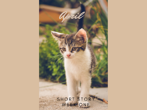 april .. short story , week one [ wc fanfic ]