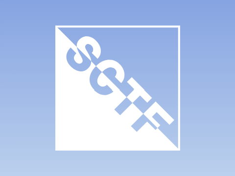 Extra Optimizations - SCTF