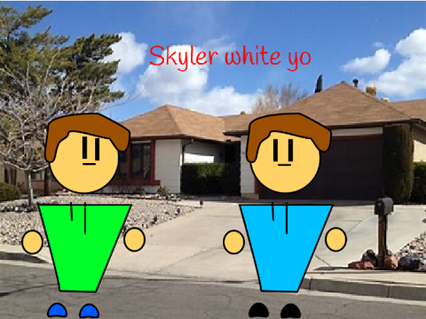 Skyler white yo