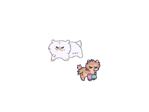 Tiktok kitties!