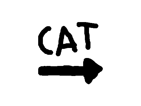 -||- CAT -||-