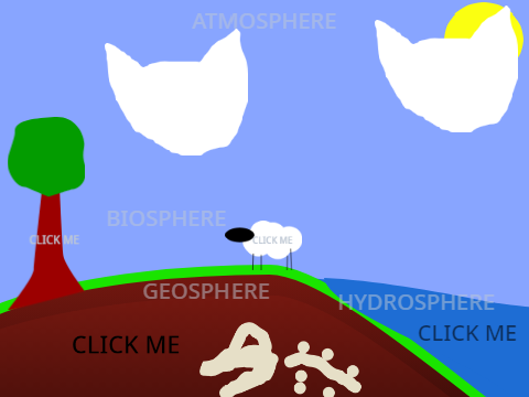 Carbon Cycle