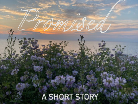 promised .. a short story
