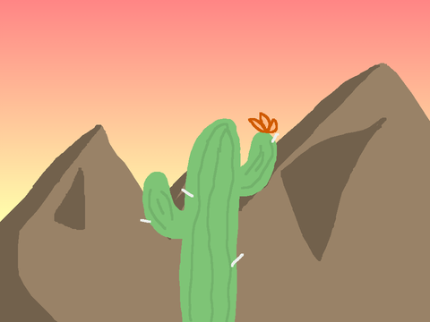 Make your cactus scenery! 