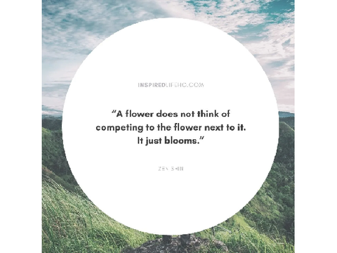 Bloom