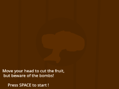Fruit ninja