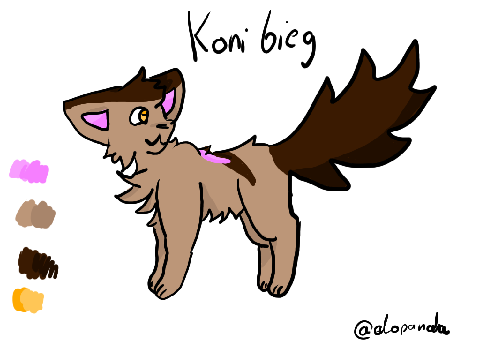 Konkurs!Koni Bieg
