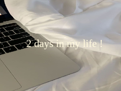 2 days in my life - v l o g