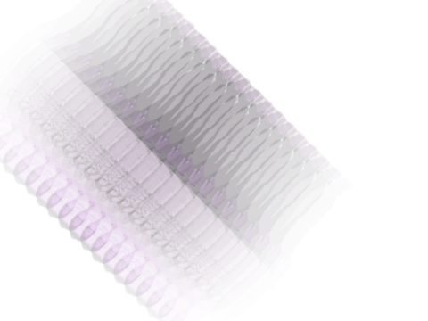 ARCBIHNIWTM (23)