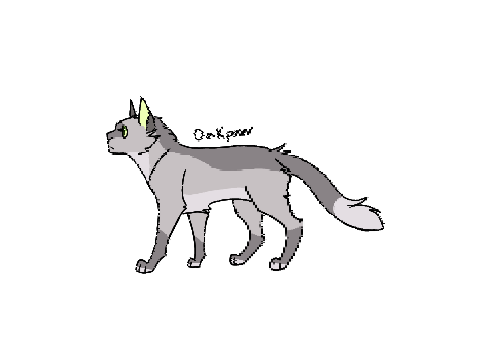 φ Oakkit/paw