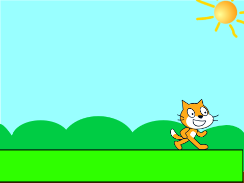 pet cat