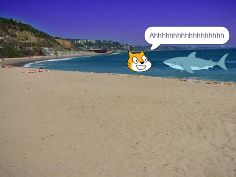 A day at the beach