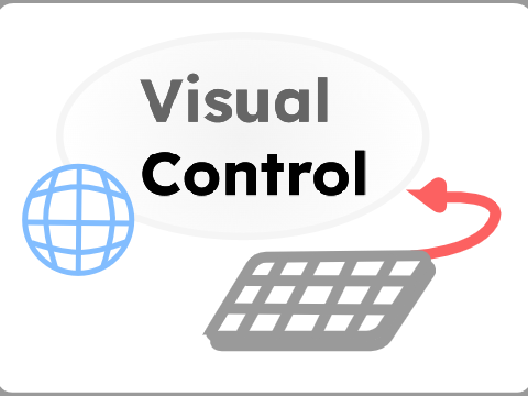 Visual Control