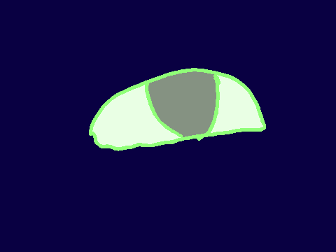 Animation check