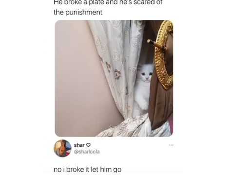 things i have saved on my phone