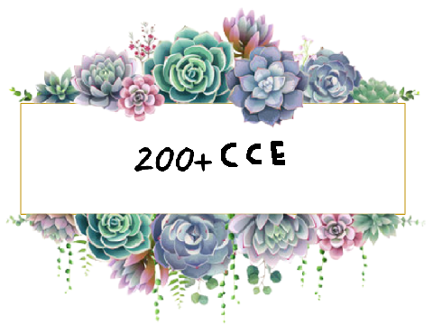 200+ CCE