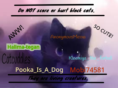 Stop Black Cat Abuse Petition PLEASE! remix remix remix remix