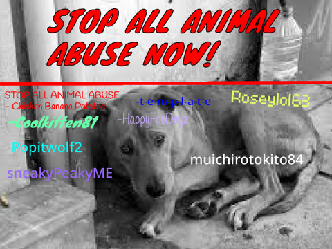 SIGN IF YOU AGREE TO STOP ALL ANIMAL ABUSE! remix remix remix remix remix remix