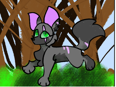 Gift for wolf’s birthday!