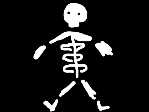 Skeleton
