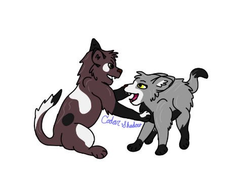Bracken and Shimmer!!!