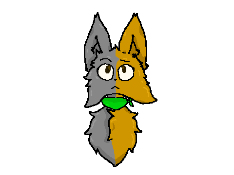 Dart