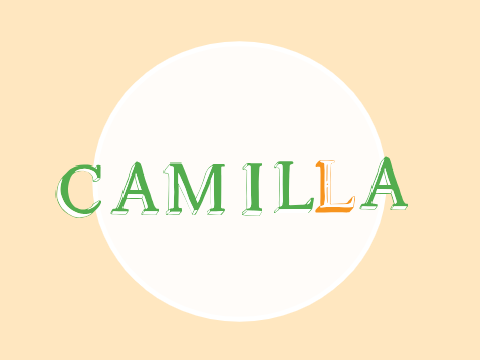 Name Thing - Camilla (ft. Tony)