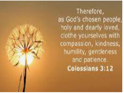 Bible Quote