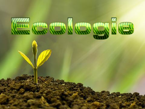 Projet Eco +