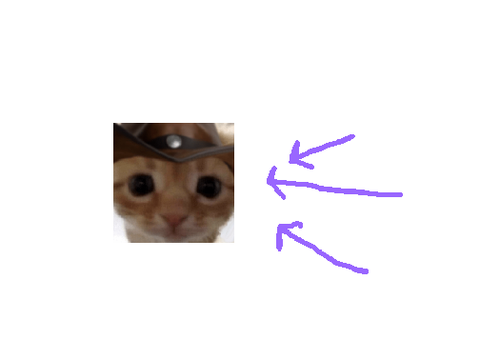 follow @cats-with-cowboyhats