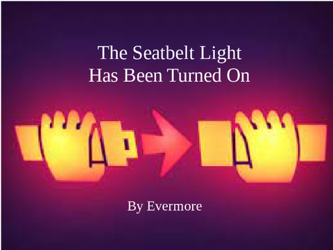 The Seatbelt Light Has Been Turned On