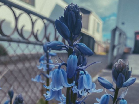 ☽
