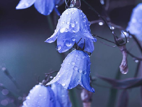 ☾