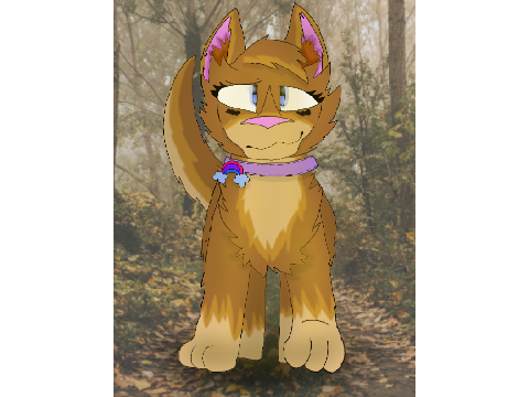 Shading + art practice