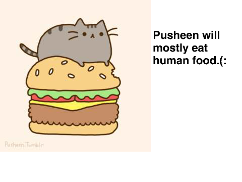 FACTS ABOUT PUSHEEN!