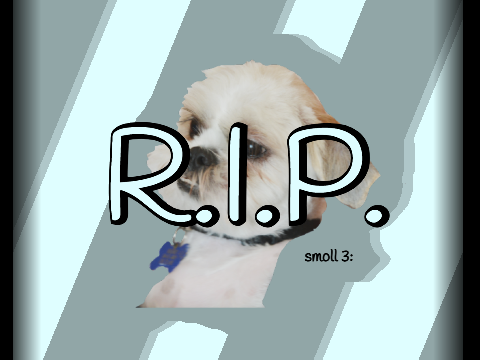 my dog's death