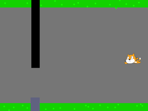 cat fly 10