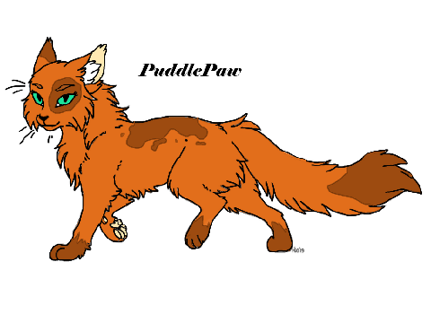PuddlePaw 1/5