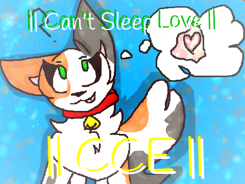 || Can't sleep love || CCE ||
