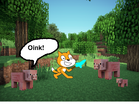 I love pigs!