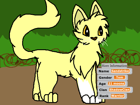 Warrior Cat Generator