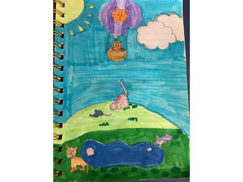 This is what I did…