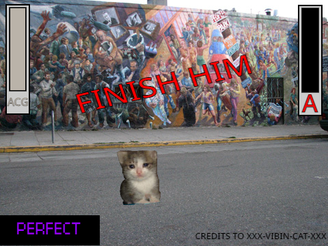 acatguy vs susbot with rank system