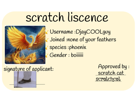  scratch licence 