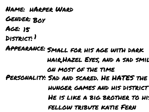 Hunger Games Information Sheet remix