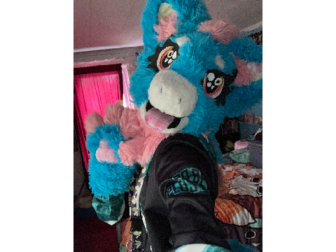 Polly’s refurrb 