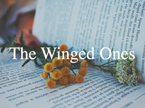 The Winged Ones | Short Story Contest Entry