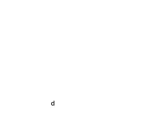 Text Engine!